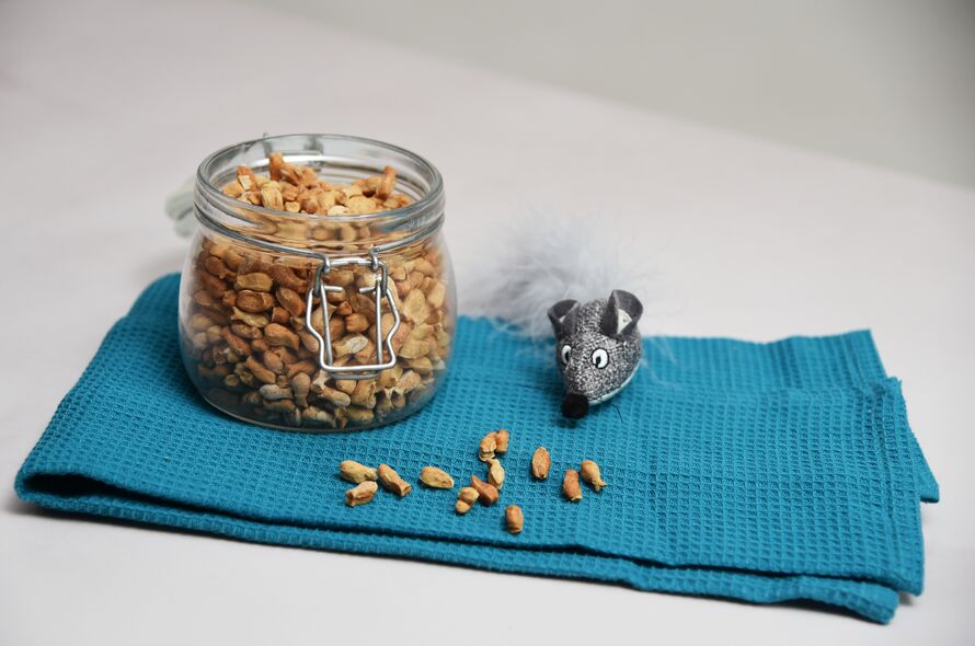 A open clip top jar full of homemade cat treats